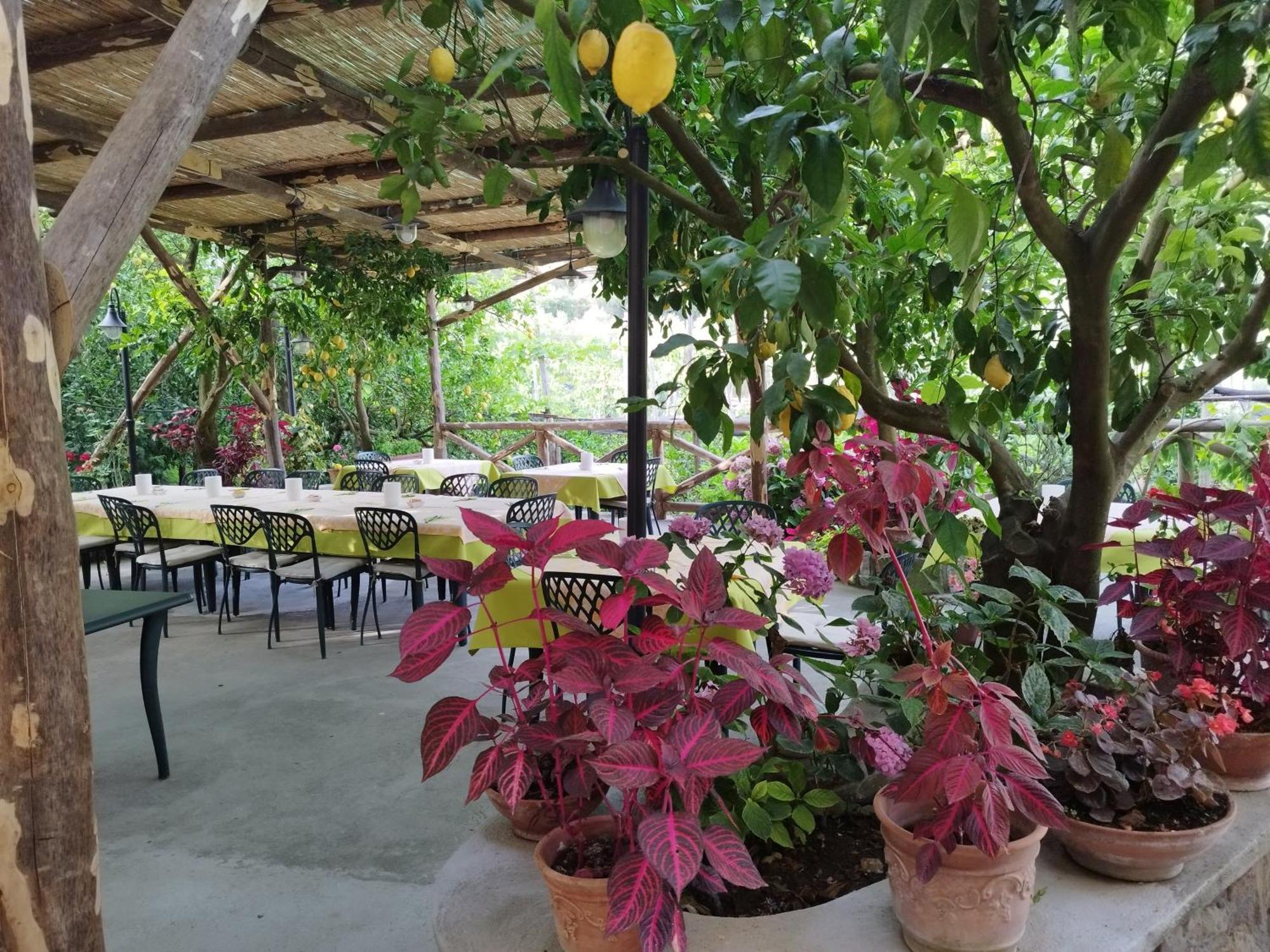 La Lobra Vakantieboerderij Massa Lubrense