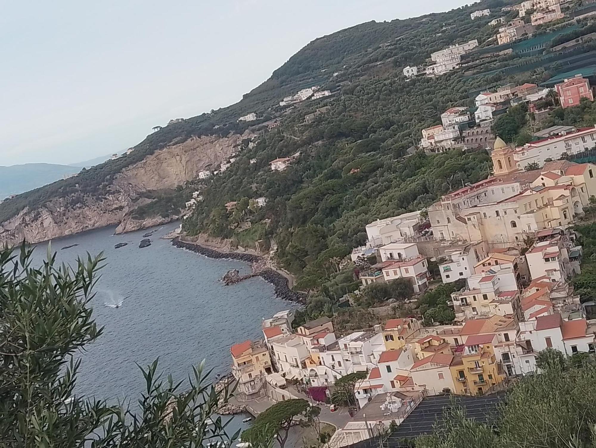 La Lobra