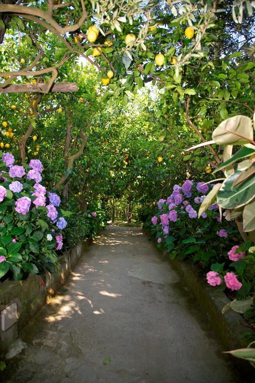Vakantieboerderij La Lobra