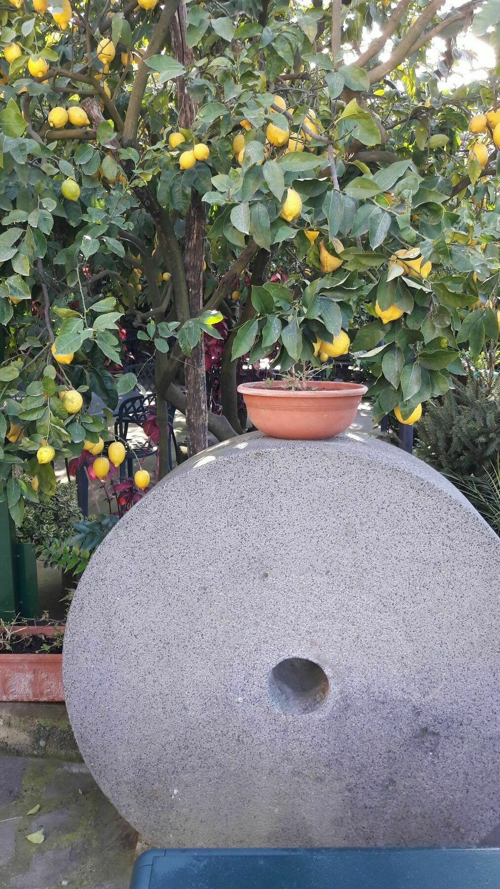 La Lobra Vakantieboerderij *