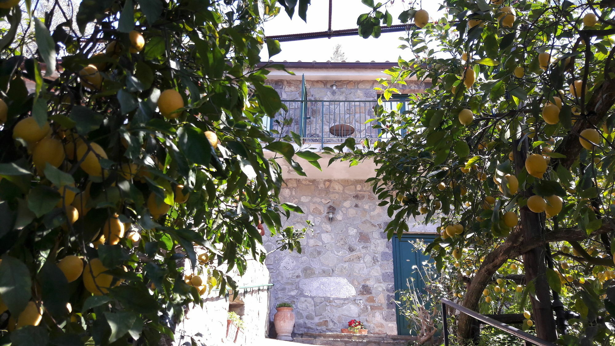 La Lobra Bauernhof Massa Lubrense