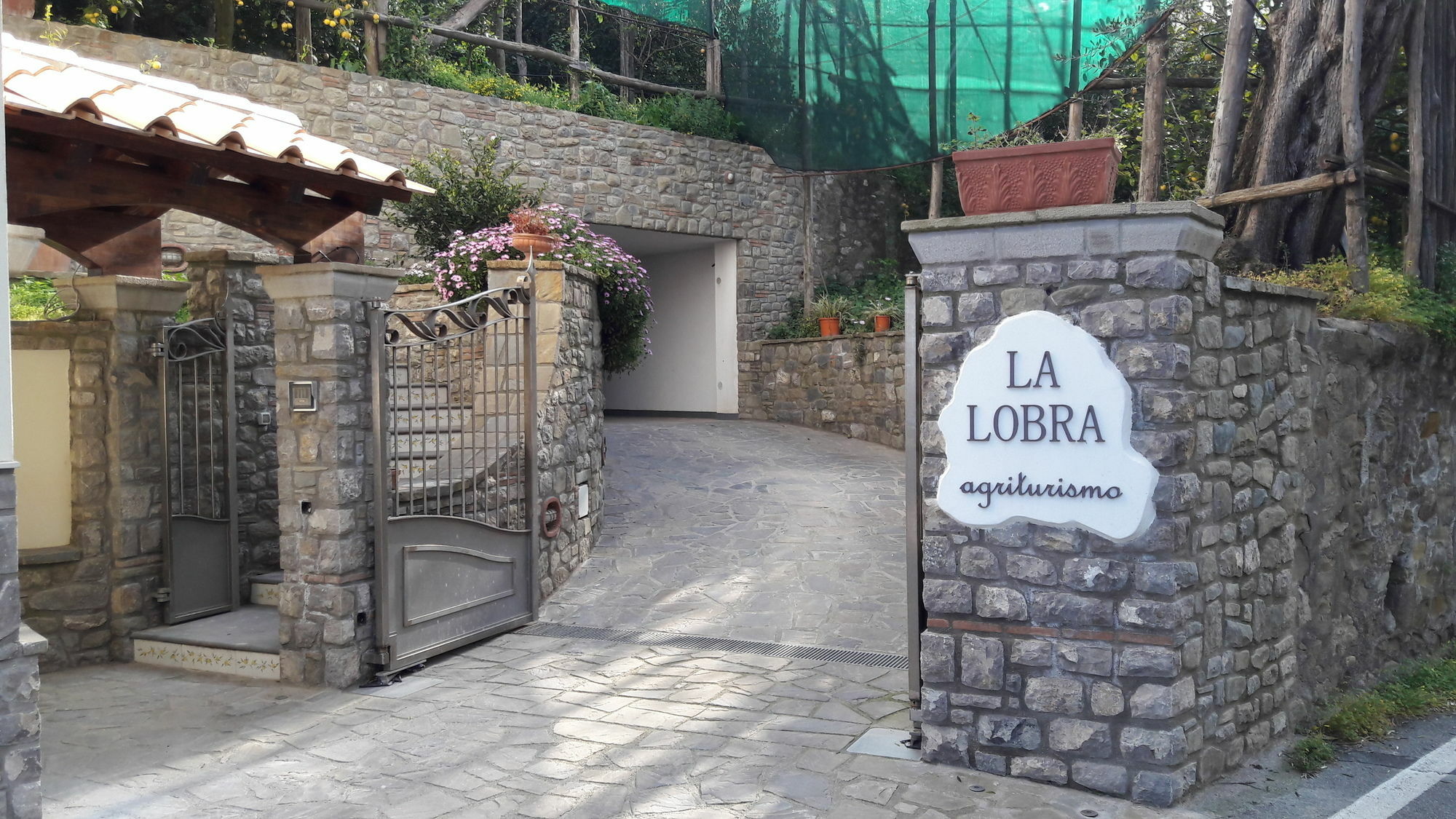 La Lobra
