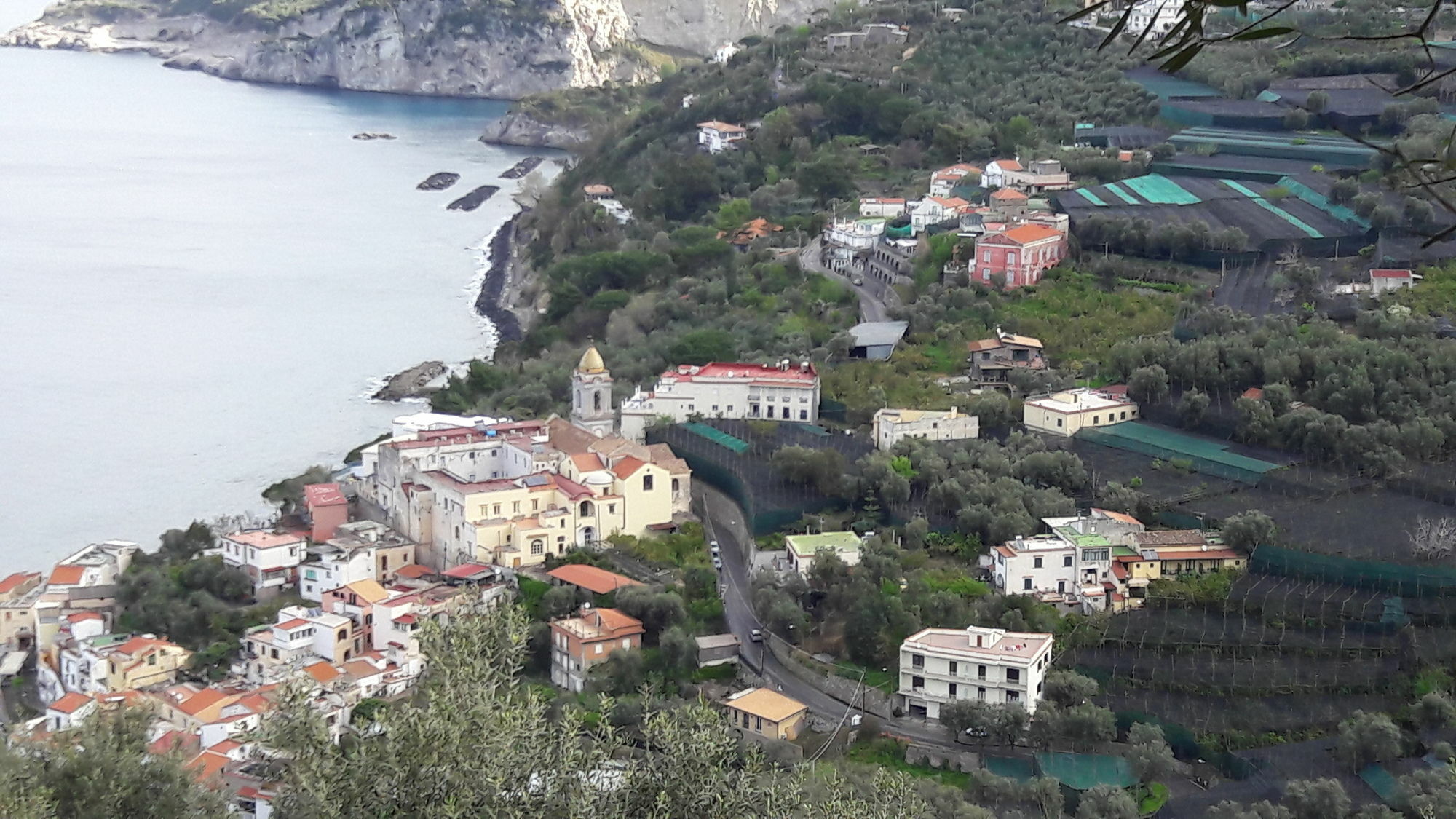 La Lobra